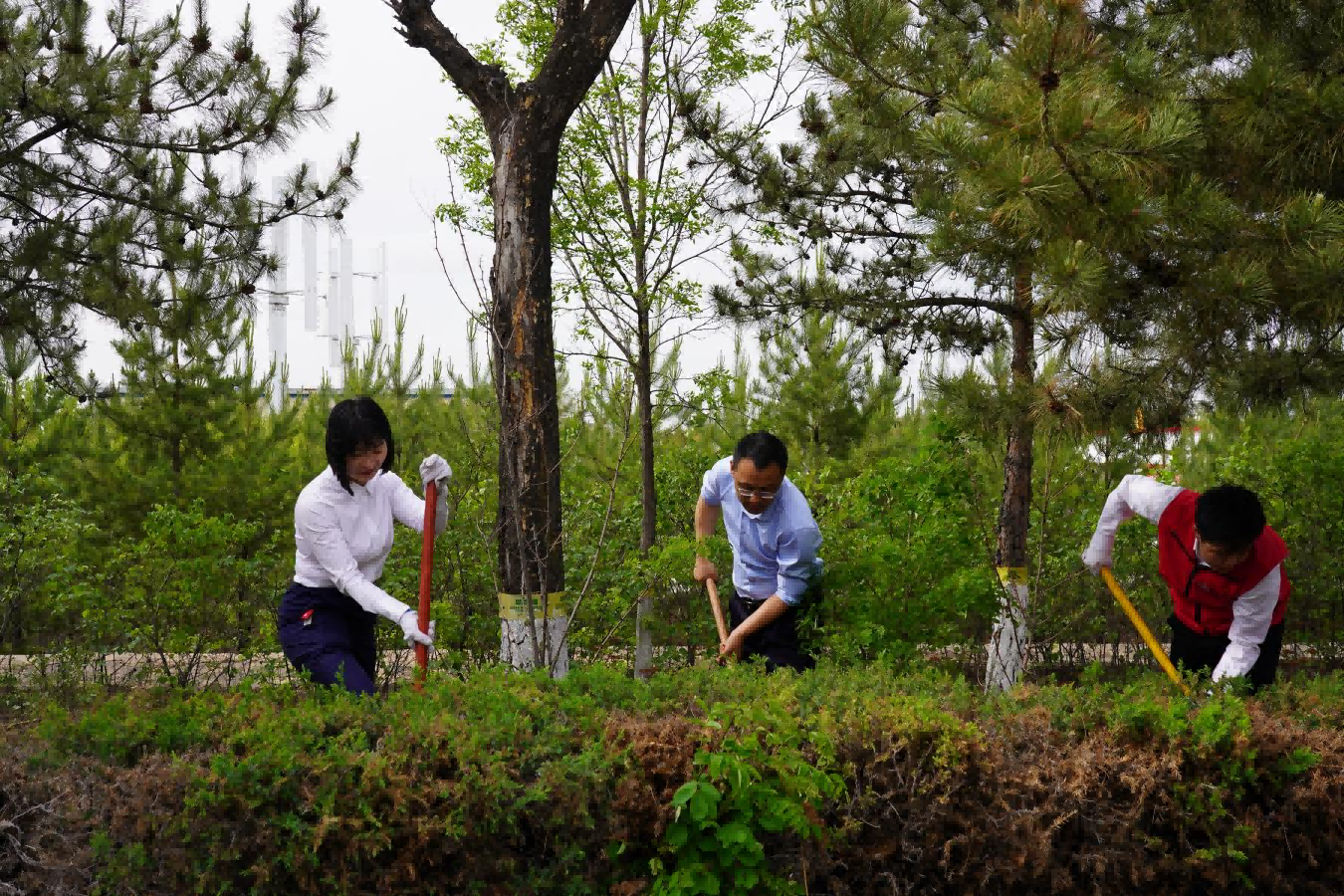 141747213041336777.png 5.14-圖片3(1).png